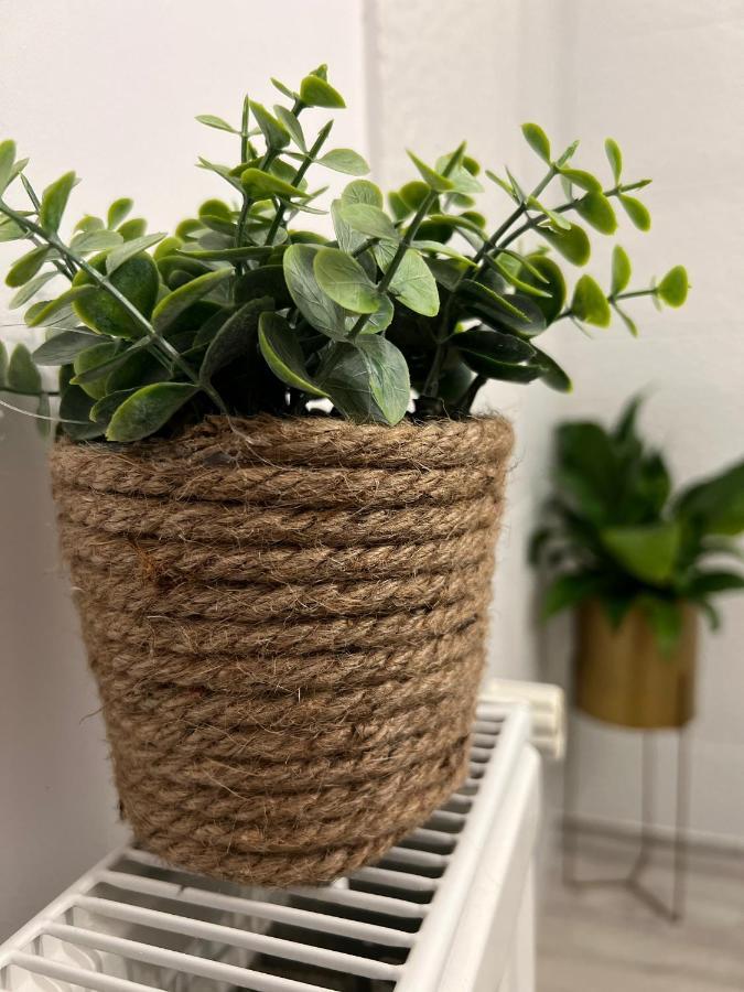 Sweet Home Apartament بْريدال المظهر الخارجي الصورة